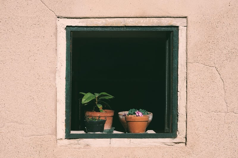 Concealed Insights